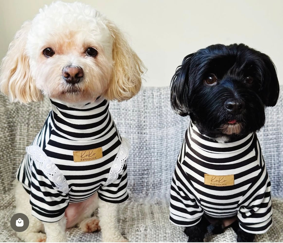 Jailbreak